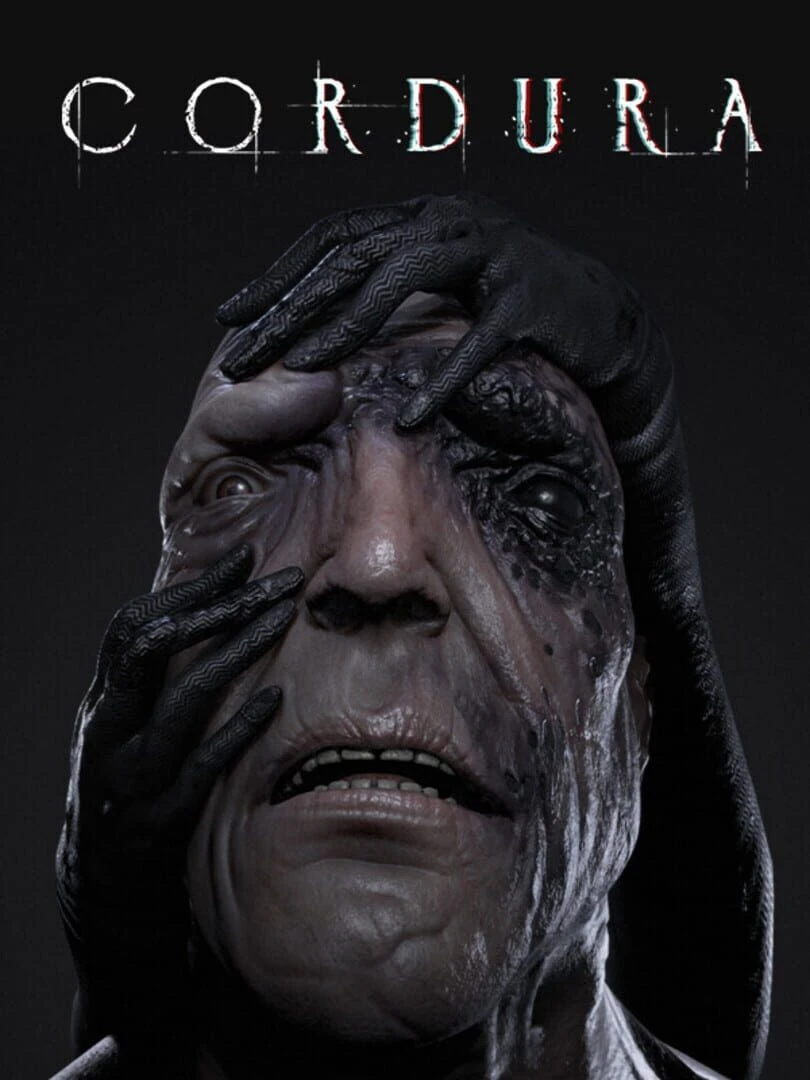 Cordura